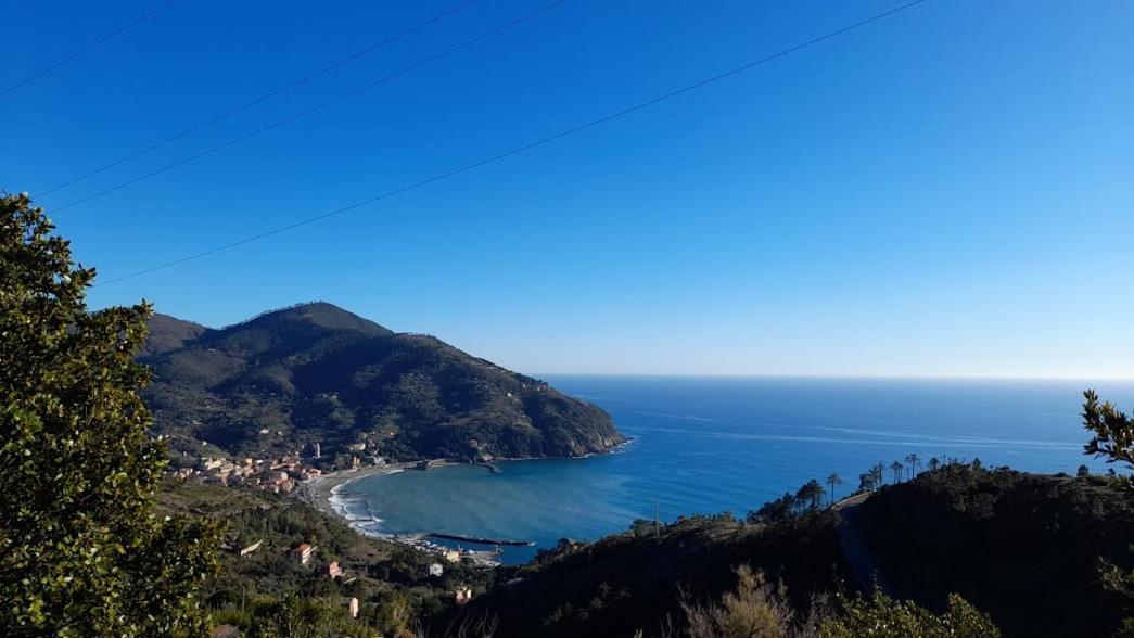 La Calla Rossa Levanto Exteriér fotografie